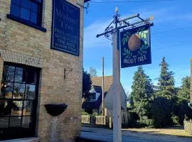 the walnut tree