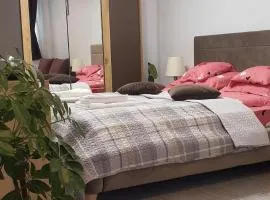 Apartament Ultra-Central Lux -,, AndreCasu ,,