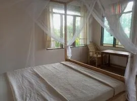 Little Monkey Camp