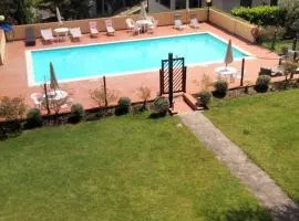 Olive Tree Apartment