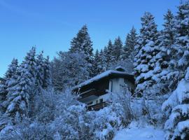 Chalet Dagmar, hótel í Klosters