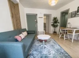 Appartement lumineux 1 chambre hypercentre Place St Jean