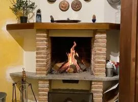 Nido Felice
