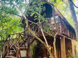 Sigiri Lodge Tree House