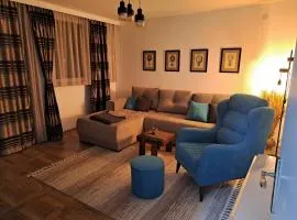 Hedonic apartment