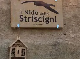 Il Nido dello Striscignl