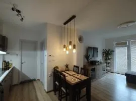 Coffee Apartment on Sunny Day 6 Complex