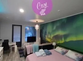 Northern Lights - Cozy apartment, sisältää liinavaatteet