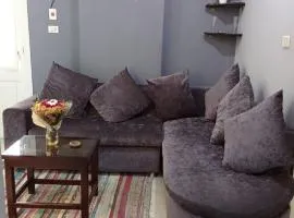 شقه النيل