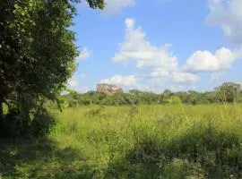 Ehalagala Lake and Paddy view Lodge