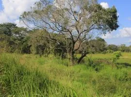 Ehalagala Lake and Paddy view Lodge