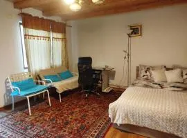Miorita Garden Studio