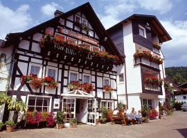 Pension Zueschener Bauernstuben, hotel en Winterberg