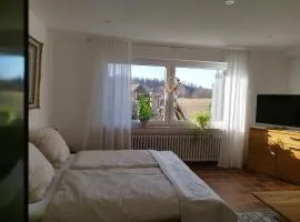 Moderne Ferienwohnung mit privatem Eingang - ROSA