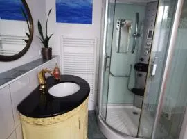 Großzügiges Studio-Apartment Siegblick 70qm mit XXL Balkon