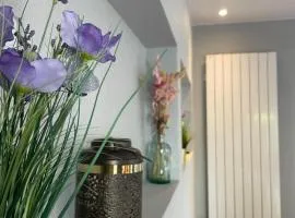 Gites Spa Strasbourg - Villa Cerf - SPA Privé, Sauna, Borne d'arcade, Babyfoot