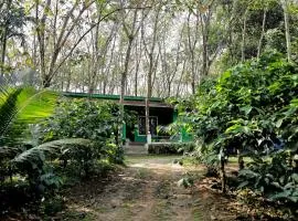Green Wayanad Homestay