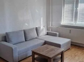 BardiHome
