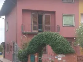 La Rosa in Fiore