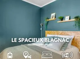 Spacious Apartment Blagnac Parking-Tram-Airport