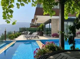 Villa with a View and Pool