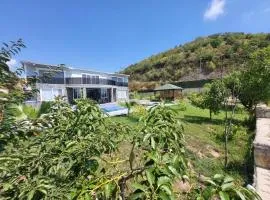 Elegant Private Villa with Garden & Pool