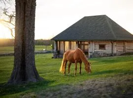 Metsapiiga Puhkemaja
