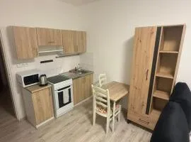 New apartment close to downtown and ZOO
