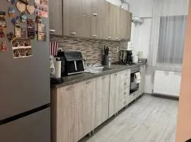 Apartament Andreea pe Dem Radulescu!