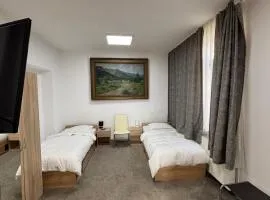 Twin-Tam House