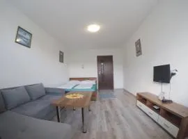 Apartment Igor