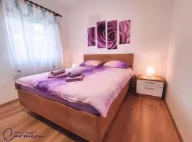 Apartment Carmen