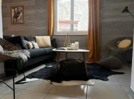 Jaune Génépi - 4 personnes - 49m2 et 17m2 terrasse