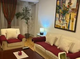 Premium 1 One bedroom apartment Maksim Gorki street 8