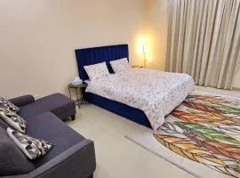 King Room with Attached Private Bathroom in Shared Apartment