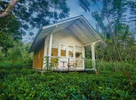 Ilukketiya Tea Chalets - Melagoda, Wanchawala