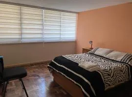 Céntrico apartamento