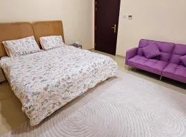 Deluxe Room with Attached Private Bathroom in Shared Apartment
