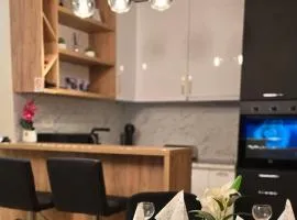 Apartman IVA LUX VRNJACKA BANJA