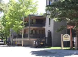 Gorgeous Aspen Condo By Lift Ski In out Parking