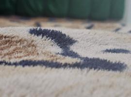 Metro Guest House, hotel in Karachi