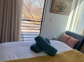 Chic, Cozy & Comfort Modern Room