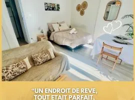 Le Cocon Royal de Fontainebleau - Centre-ville #INSEAD #Château