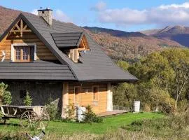 Odludomki
