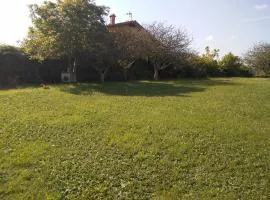 vivienda la palmera