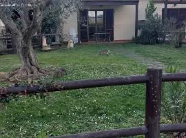Oleandro Cottage with garden