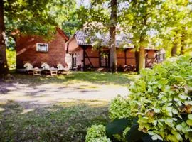 Carpe Deimern in der Lüneburger Heide