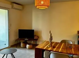 Appartement AMBRE T2 a 100 Métres de la Mer
