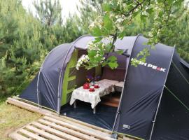 Tent under pines, hotel v destinaci Vilnius