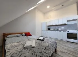 Apartamenty Parkowe nr 8
